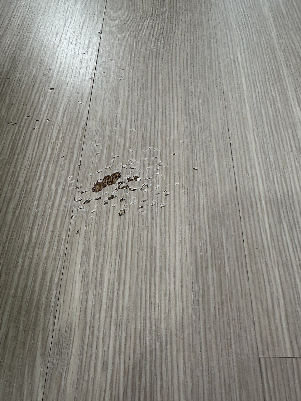 안성 마루 수리 5