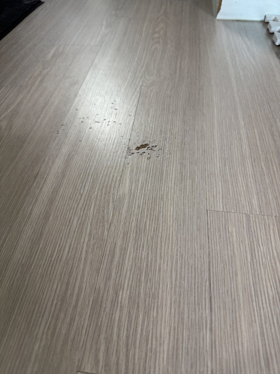 안성 마루 수리 6