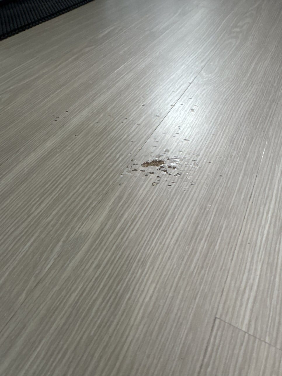 안성 마루 수리 12