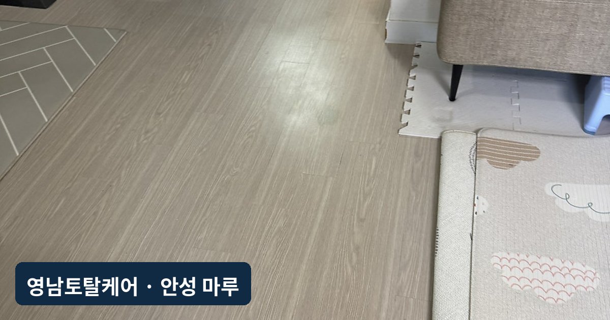 안성 의자에 찍힌 강마루 복원