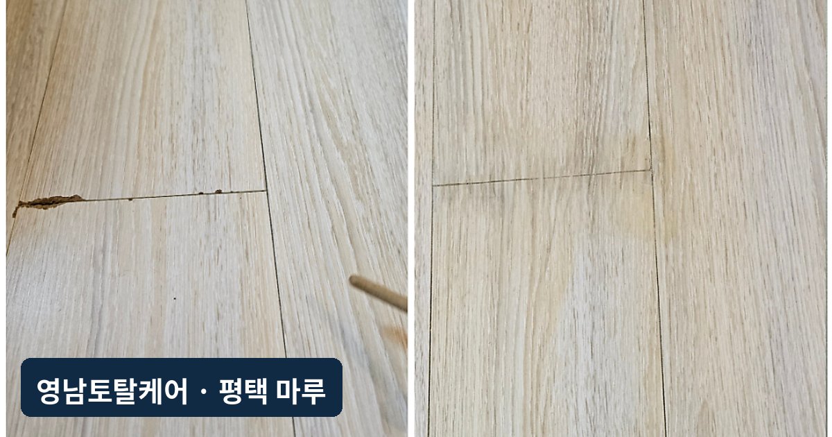 평택 강아지가 물어뜯은 강화마루 복원