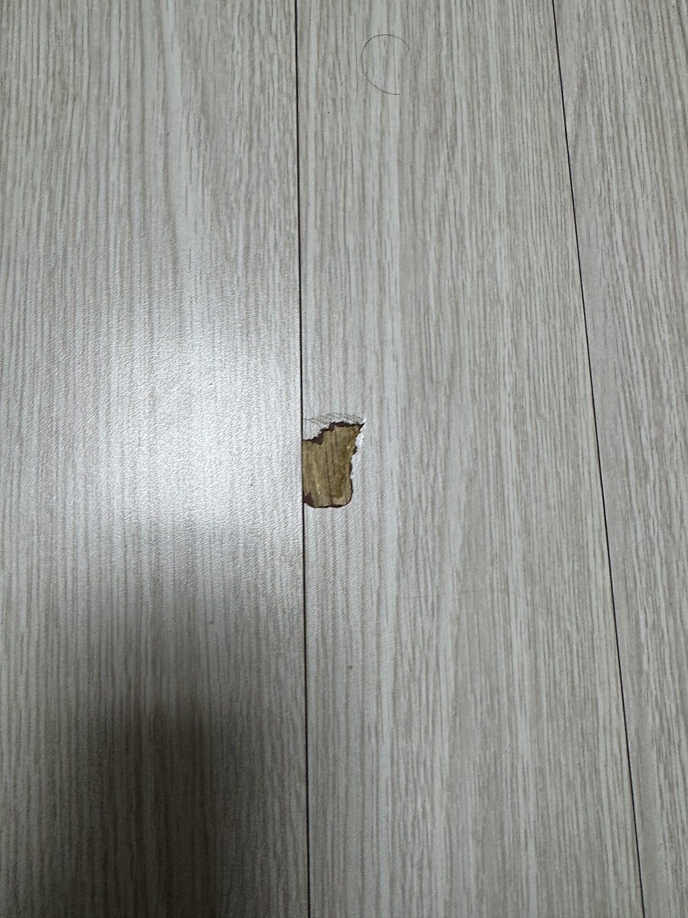 평택 마루 수리 3