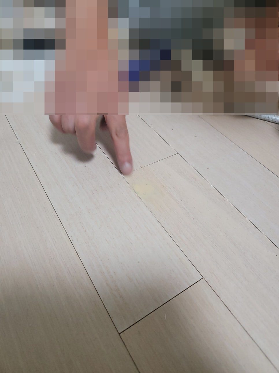평택 마루 수리 16