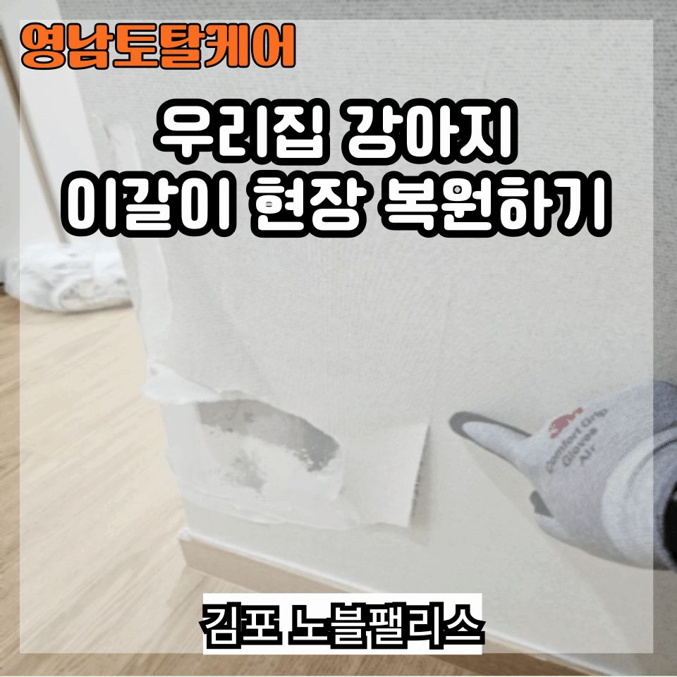 오산 구멍 복원 수리 2