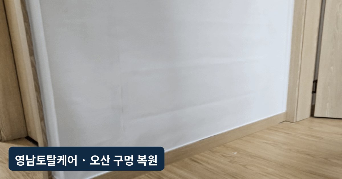 오산 강아지 이갈이 벽지 한 면 도배 복원
