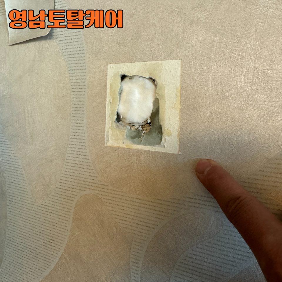 평택 구멍 복원 수리 7