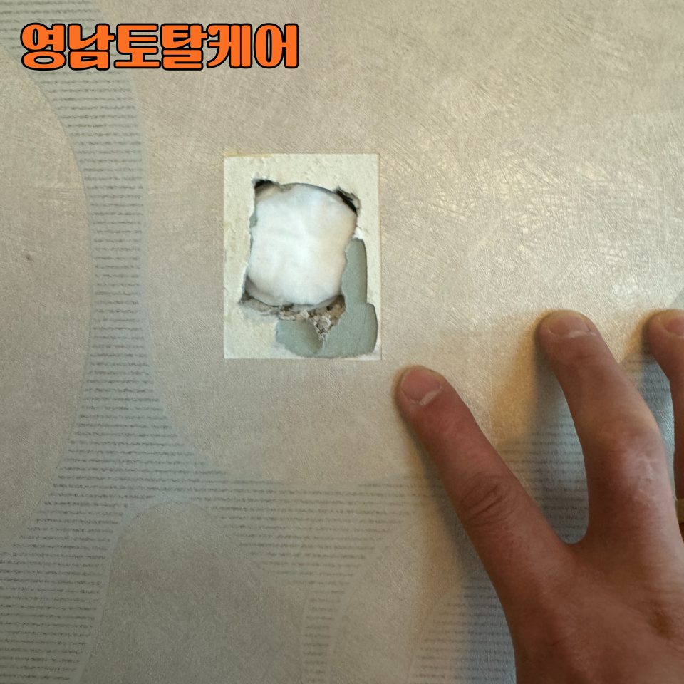 평택 구멍 복원 수리 9