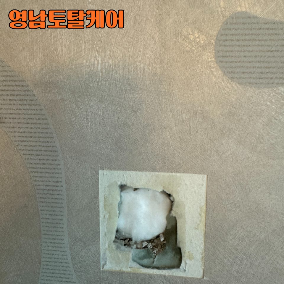 평택 구멍 복원 수리 11